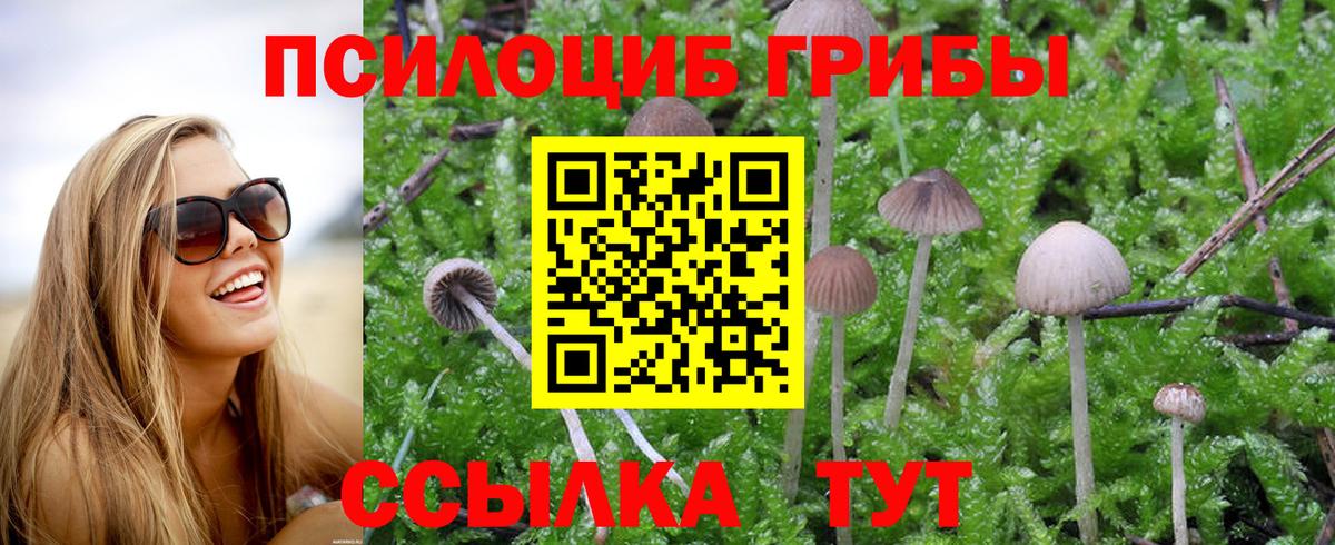 Псилоцибиновые грибы Cubensis  Галлюциногенные грибы Psilocybine cubensis  Кропоткин  Вход с VPN 